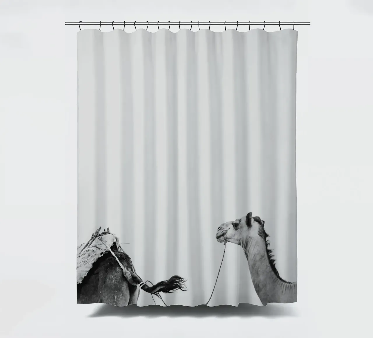 Camel queue Duschvorhang von photolovers