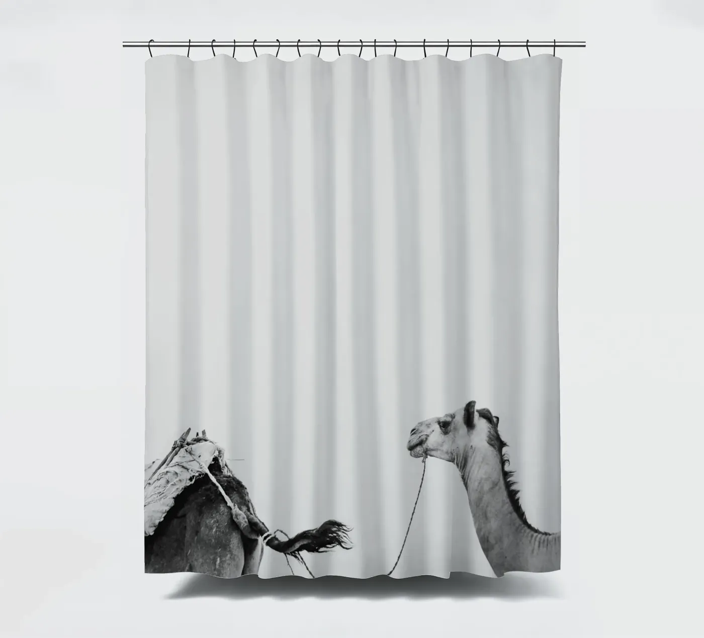 Camel queue Duschvorhang von photolovers