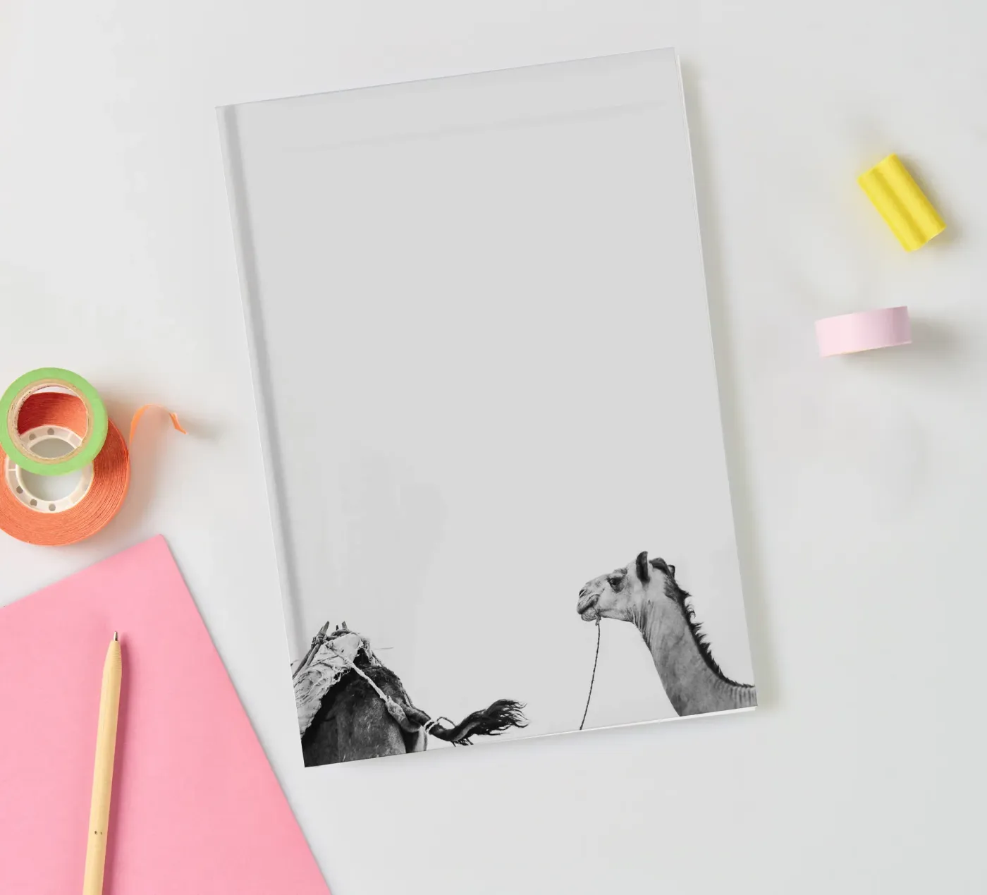 Camel queue notebook by photolovers