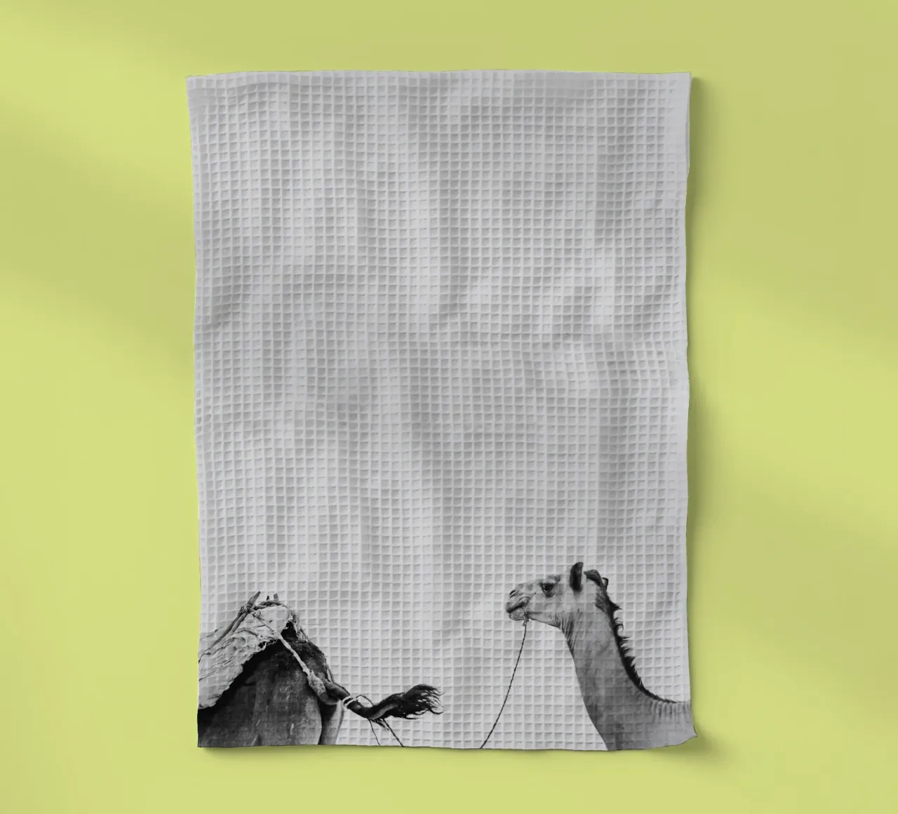 Camel queue Geschirrtuch von photolovers