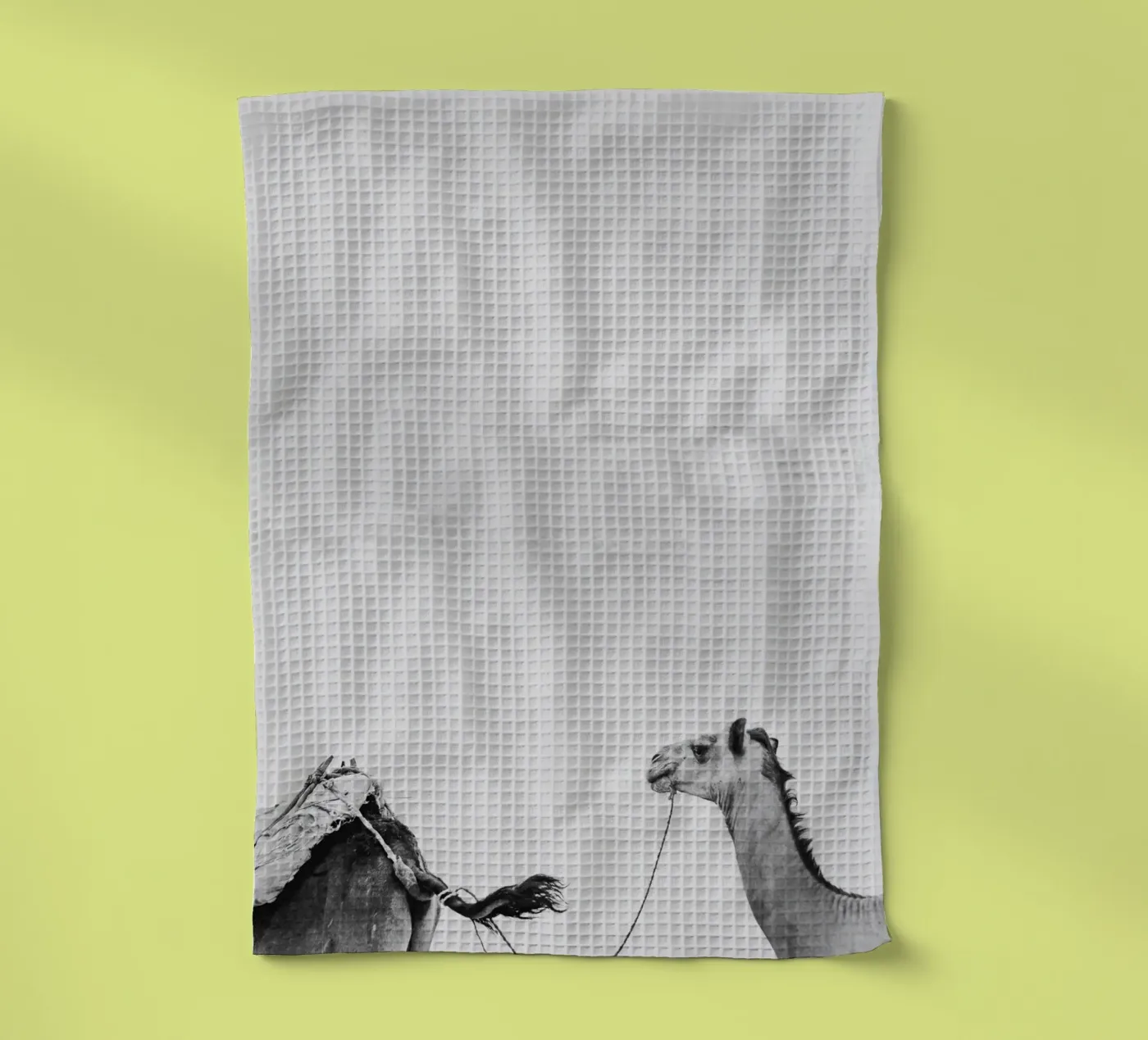 Camel queue Geschirrtuch von photolovers