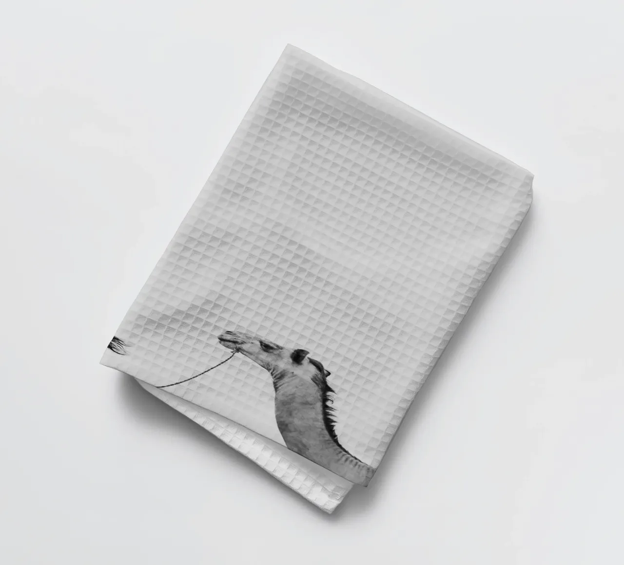 Camel queue Geschirrtuch von photolovers