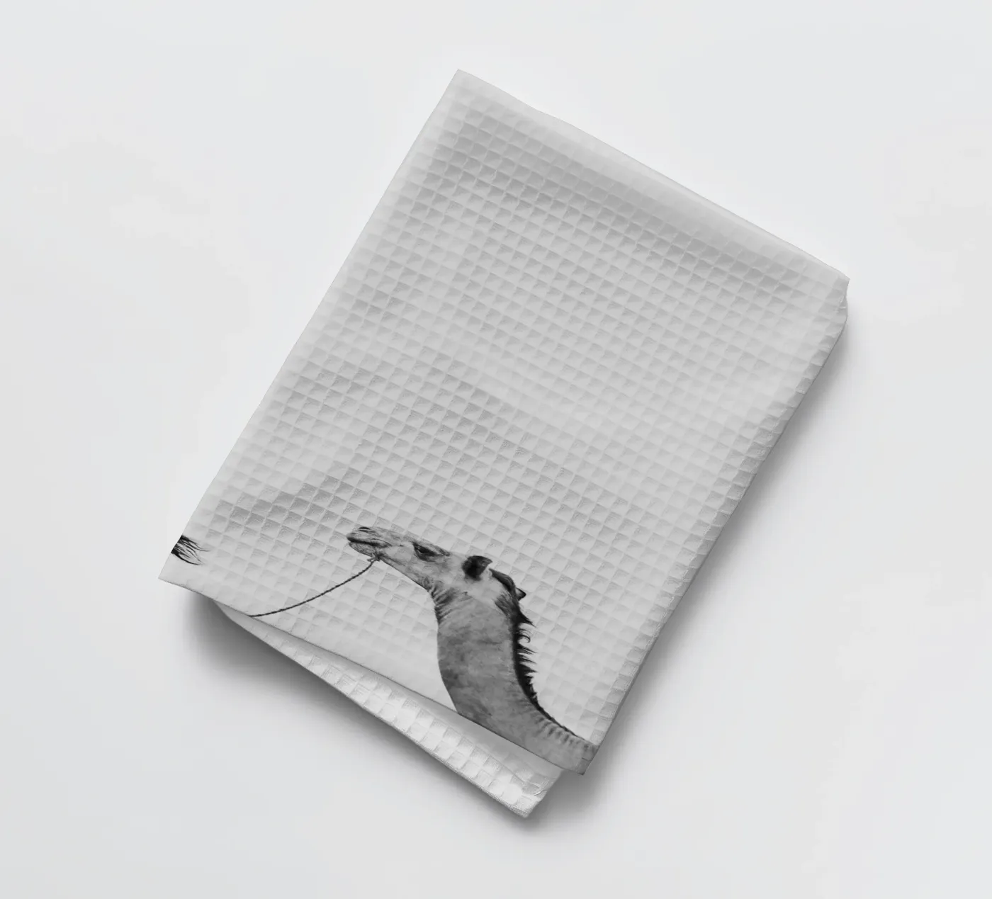 Camel queue Geschirrtuch von photolovers