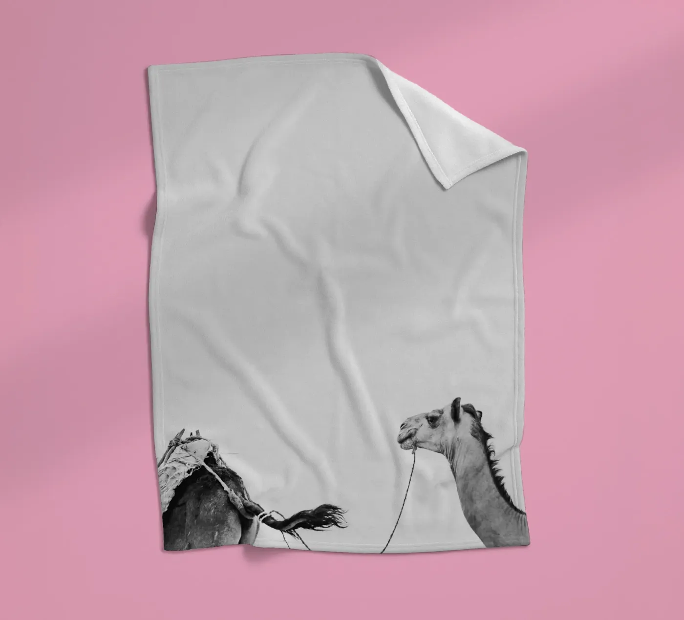 Camel queue Fleecedecke von photolovers