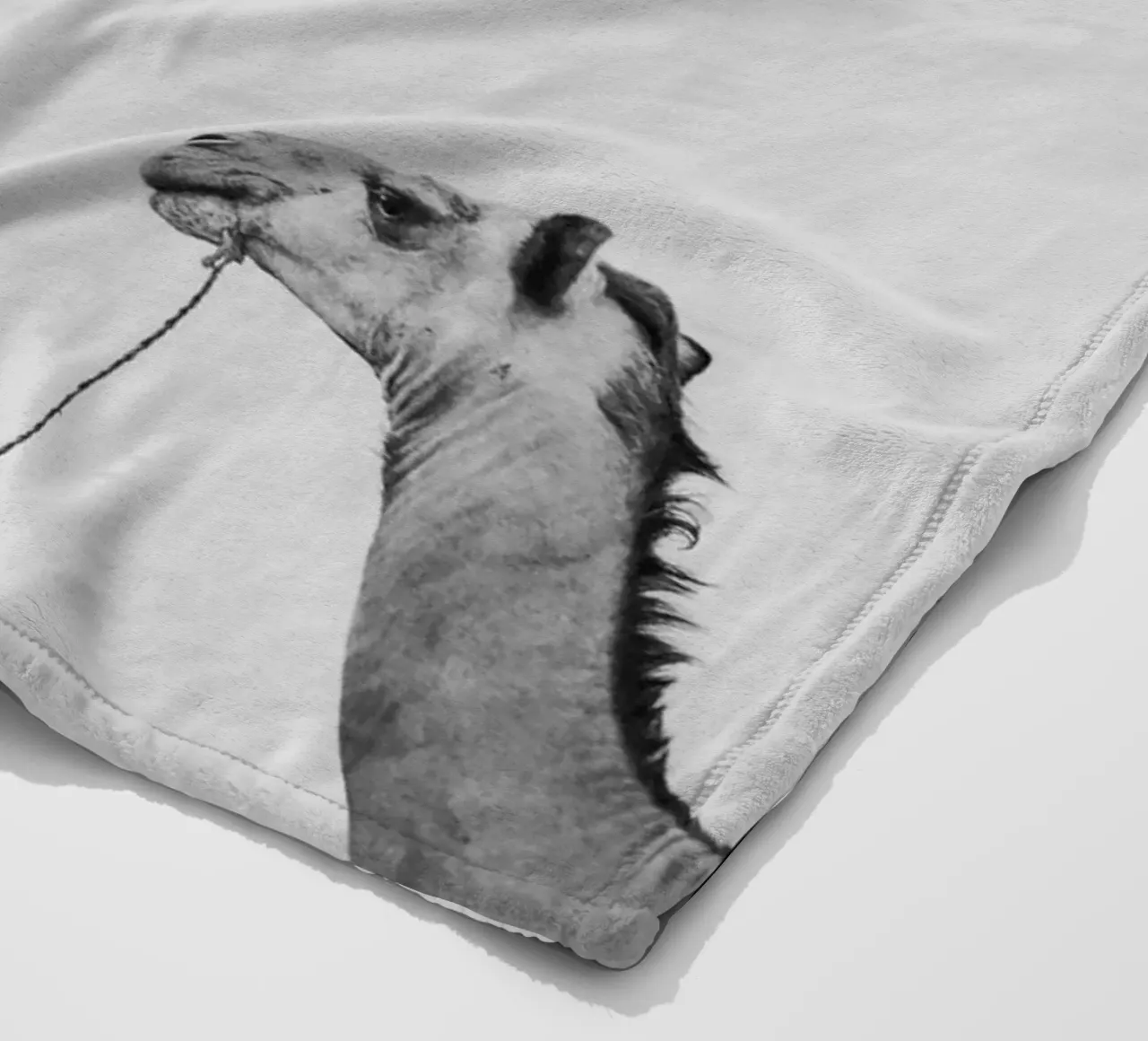 Camel queue Fleecedecke von photolovers