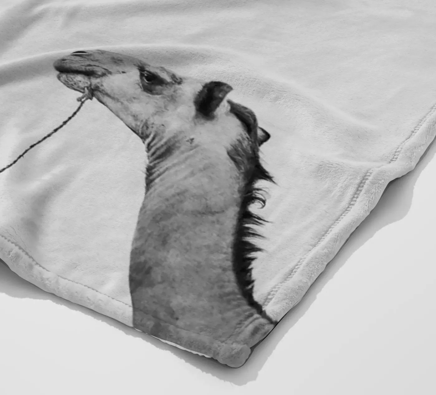 Camel queue Fleecedecke von photolovers