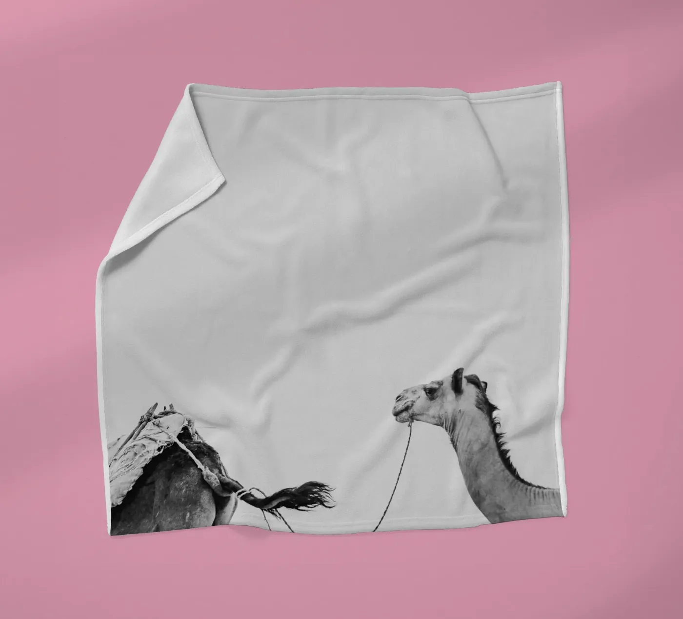 Camel queue Fleecedecke von photolovers