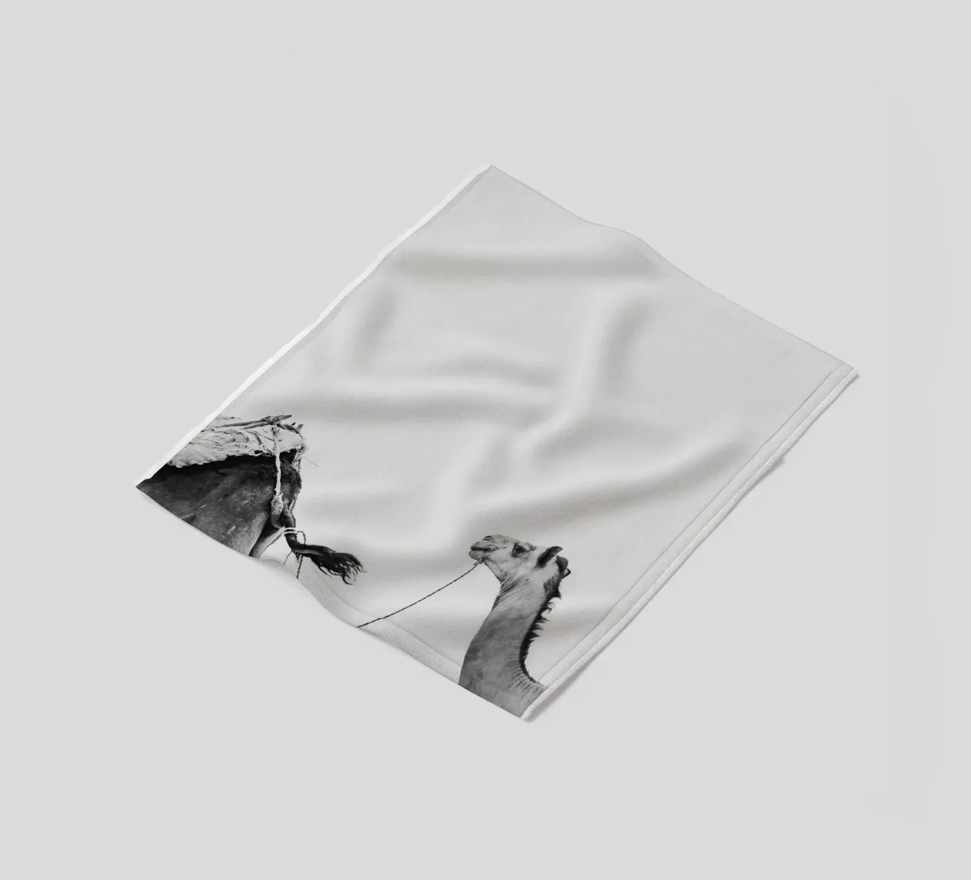 Camel queue Fleecedecke von photolovers