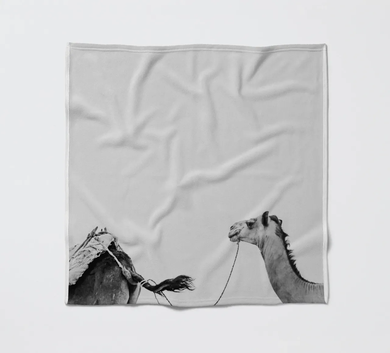 Camel queue Fleecedecke von photolovers