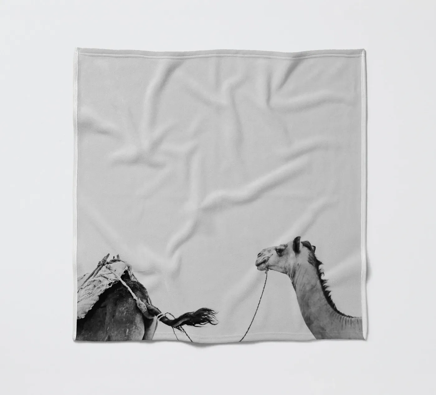 Camel queue Fleecedecke von photolovers