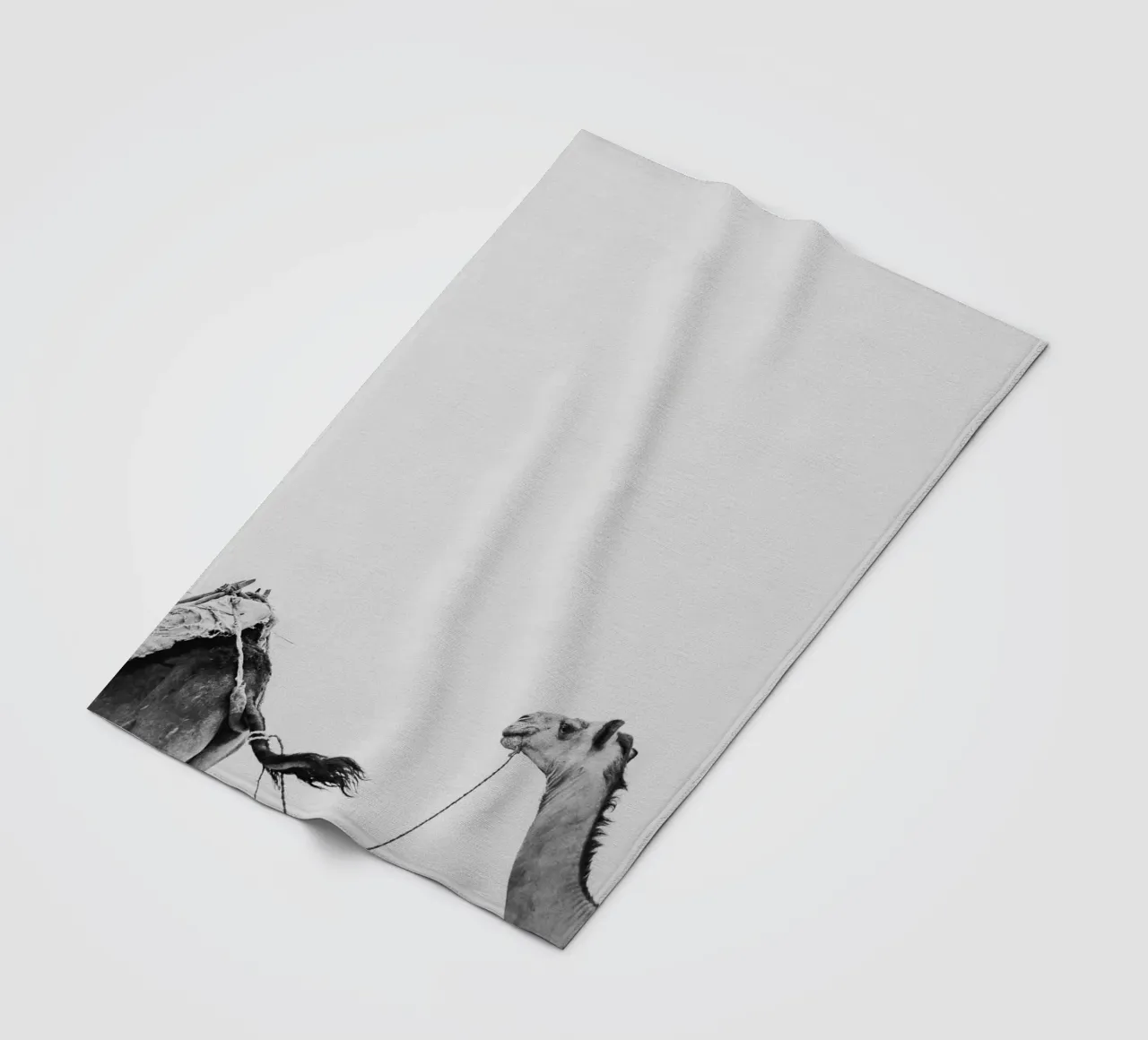 Camel queue Fleecedecke von photolovers