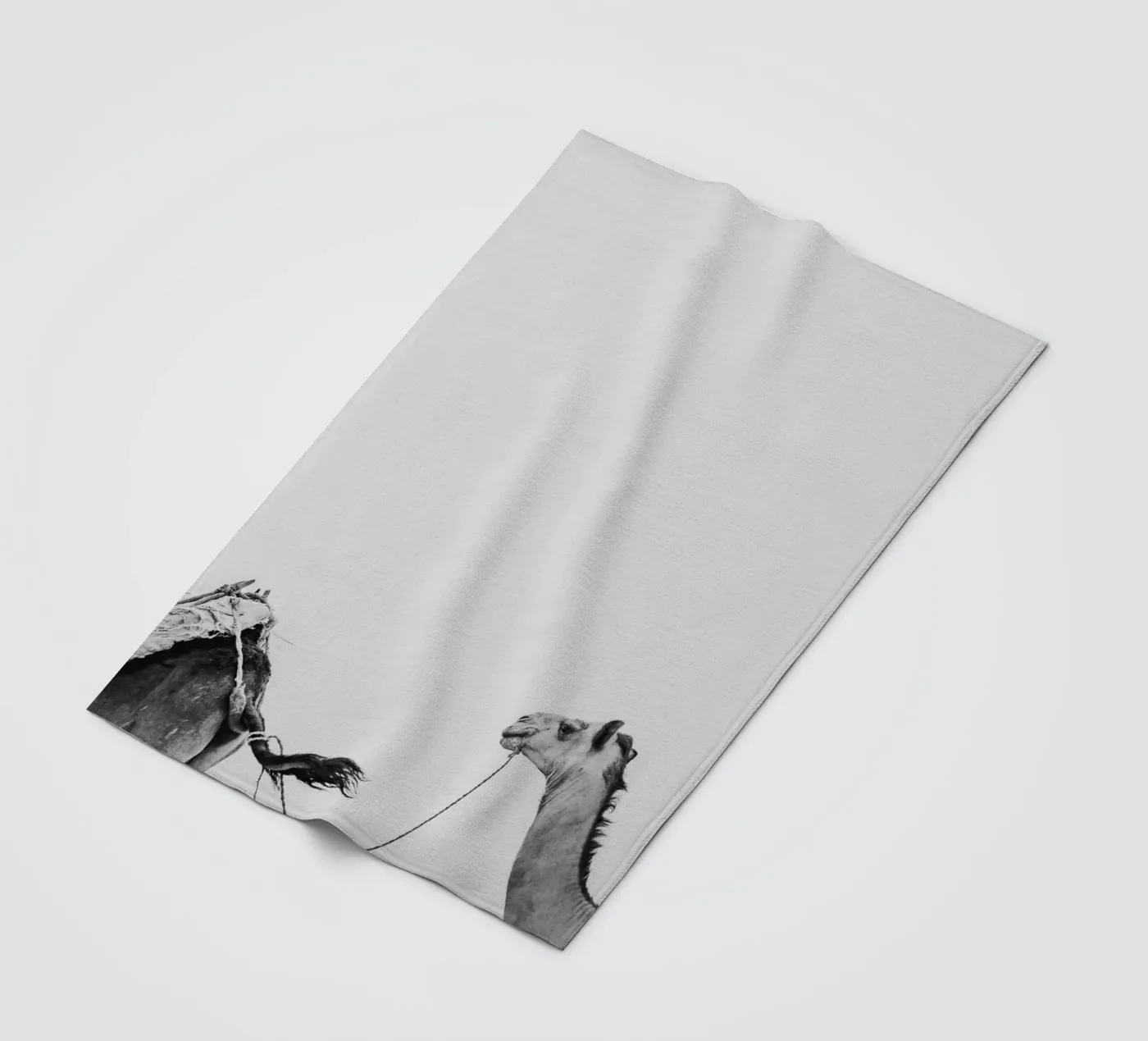 Camel queue Fleecedecke von photolovers