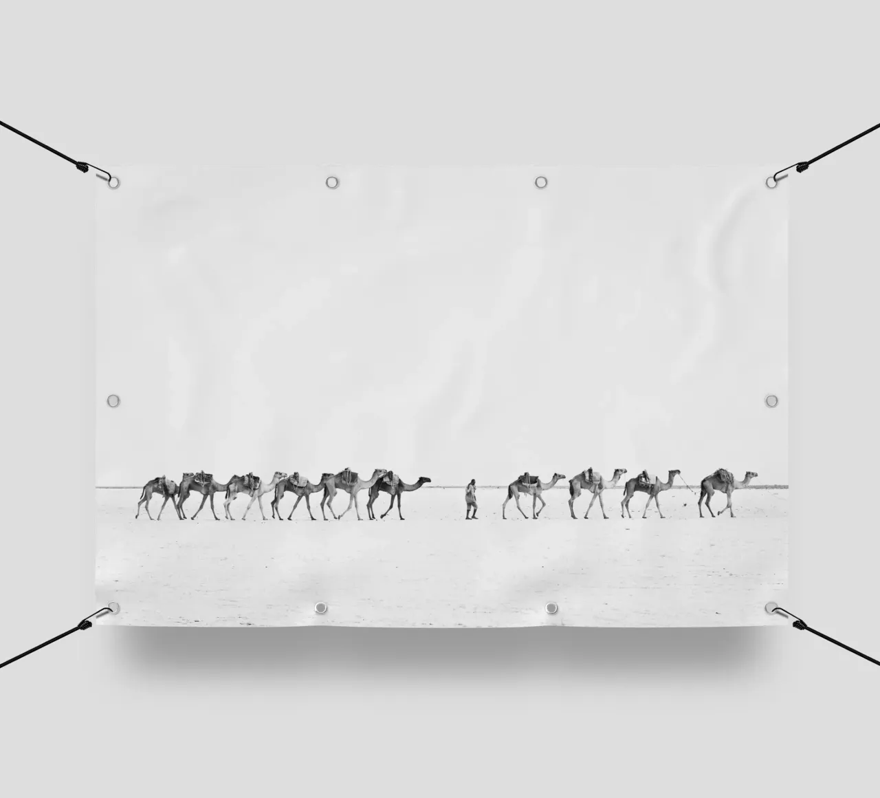Camel caravan telo in pvc da photolovers