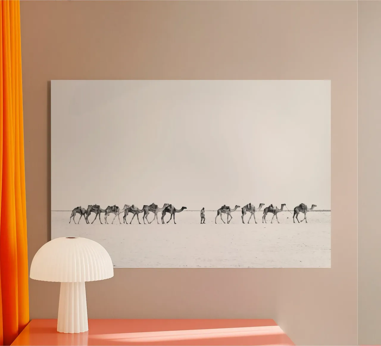 Camel caravan plexiglass da photolovers