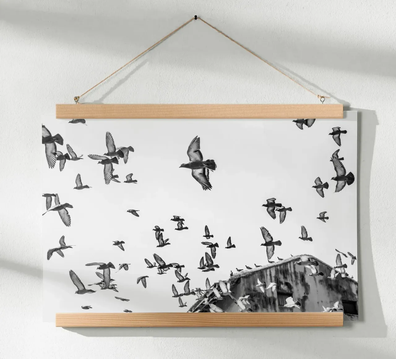 Doves poster da photolovers