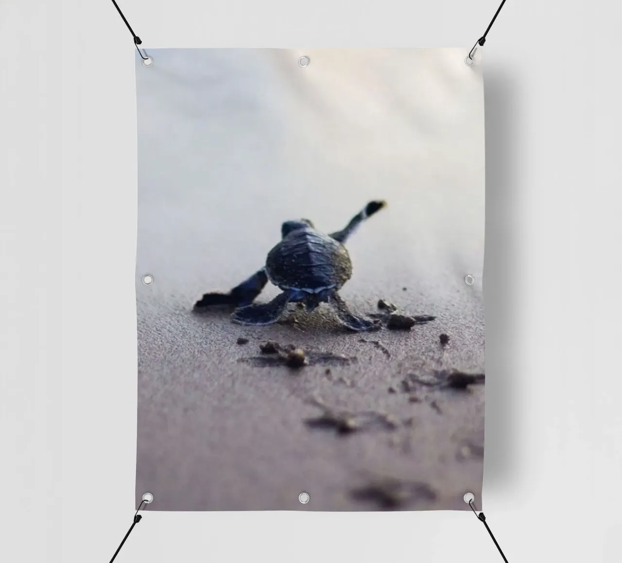 turtle footprint telo in pvc da scoten