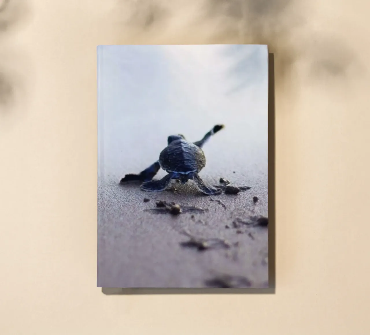 turtle footprint notebook by scoten