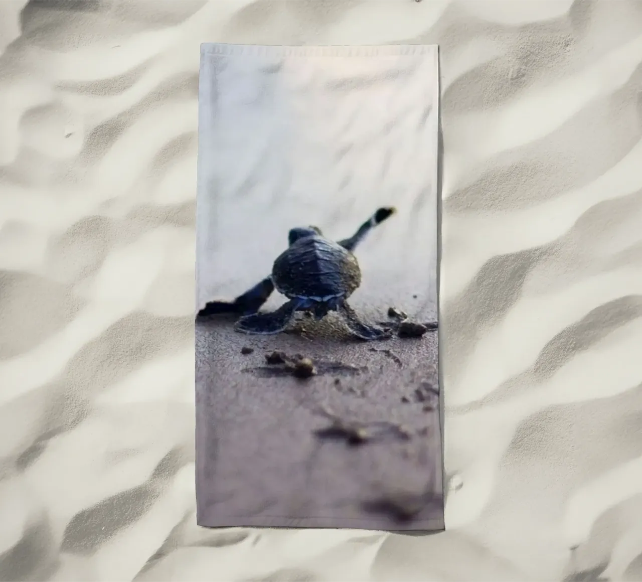 turtle footprint telo mare da scoten