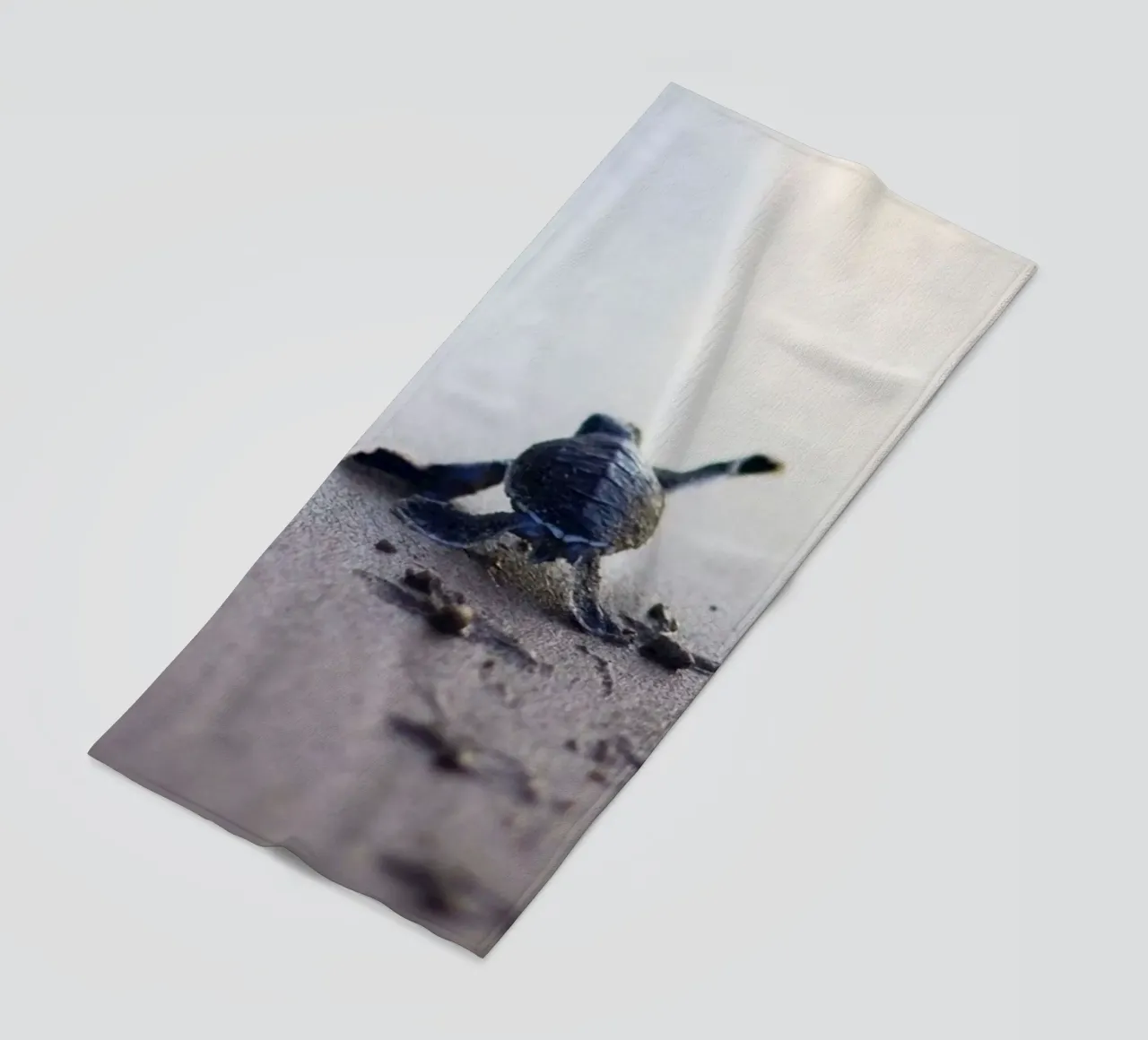 turtle footprint telo mare da scoten