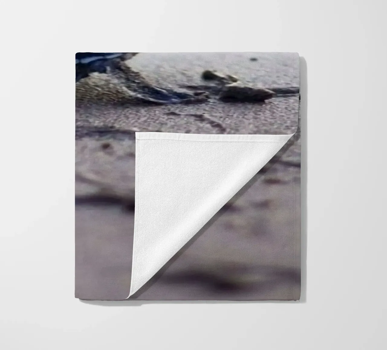 turtle footprint telo mare da scoten