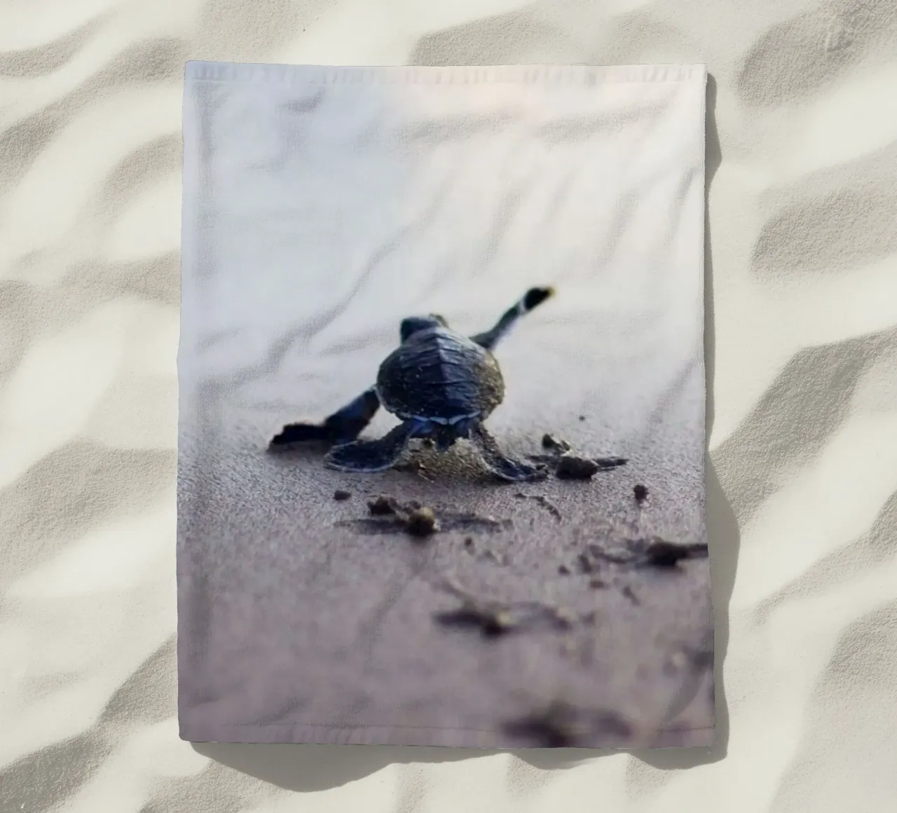 turtle footprint telo mare da scoten