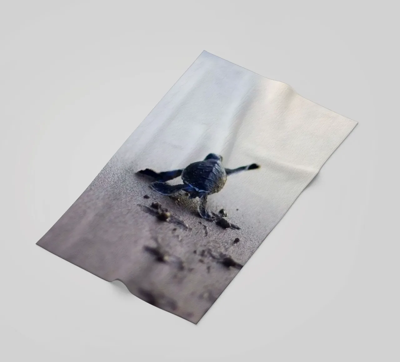 turtle footprint telo mare da scoten