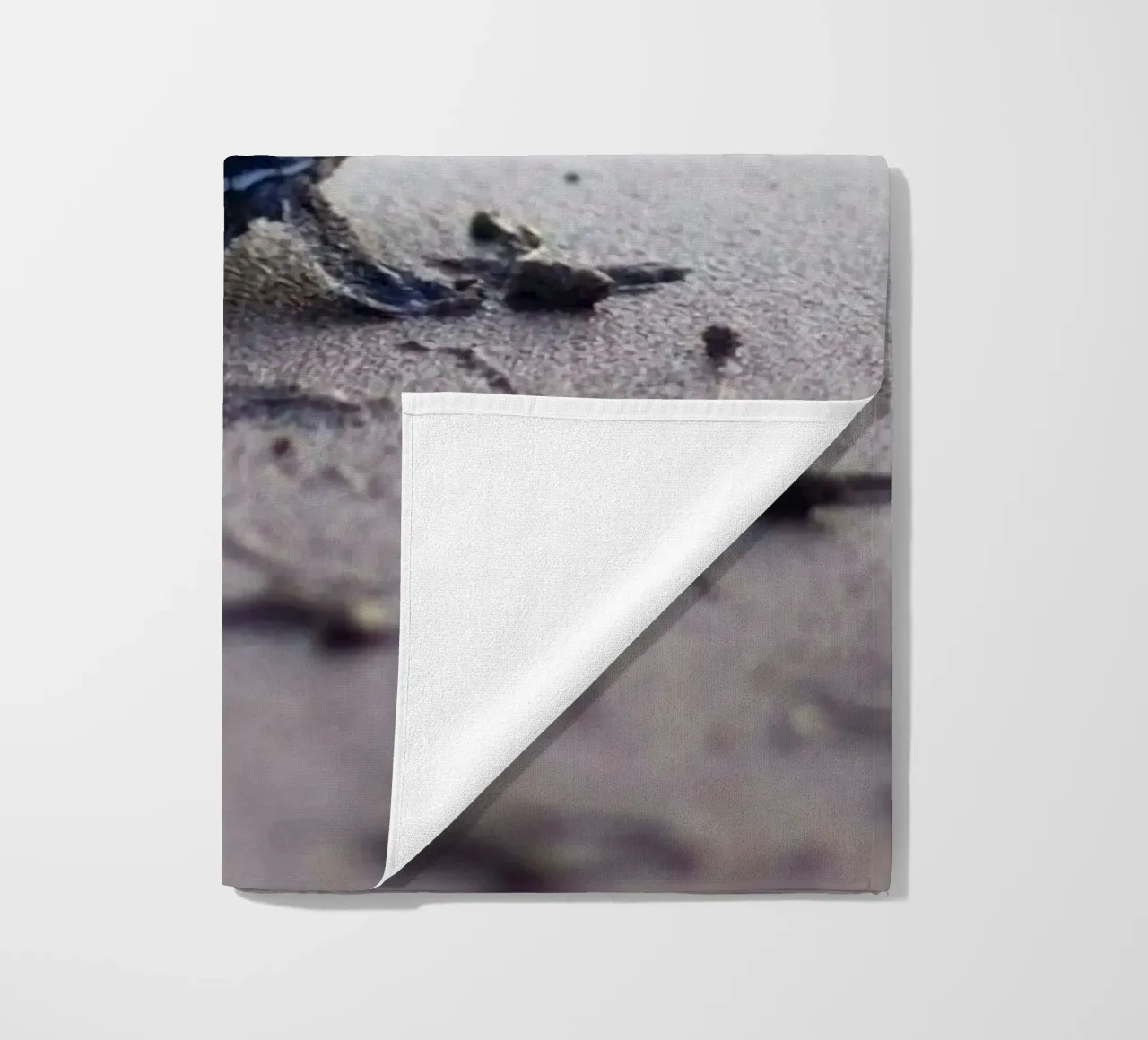 turtle footprint telo mare da scoten