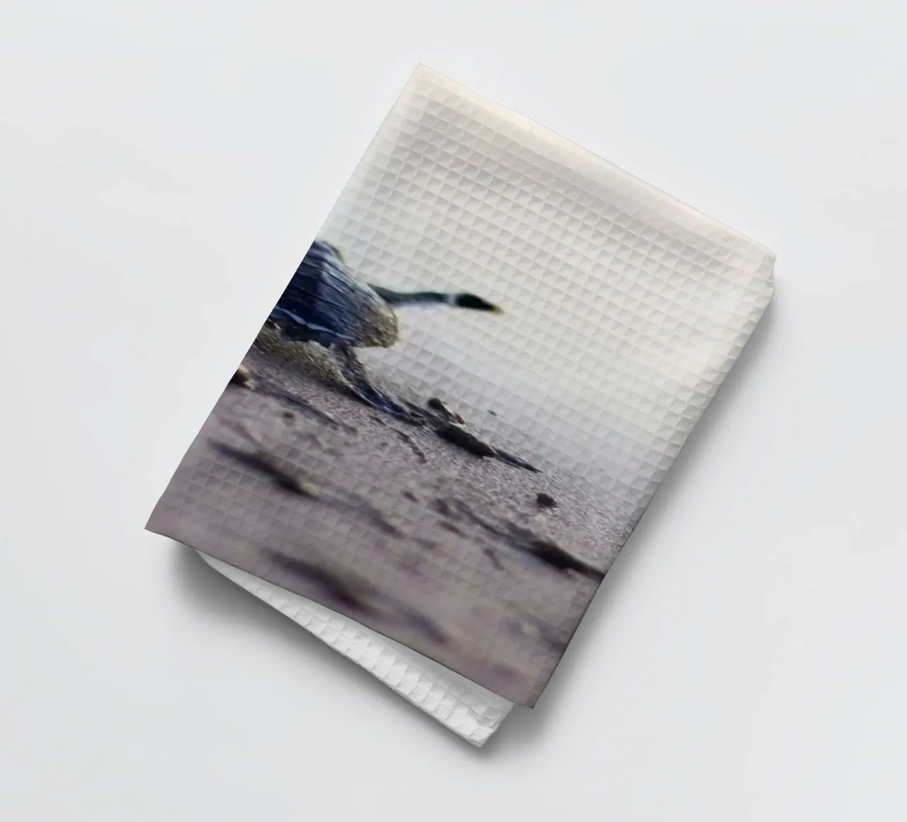 turtle footprint canovaccio da cucina da scoten