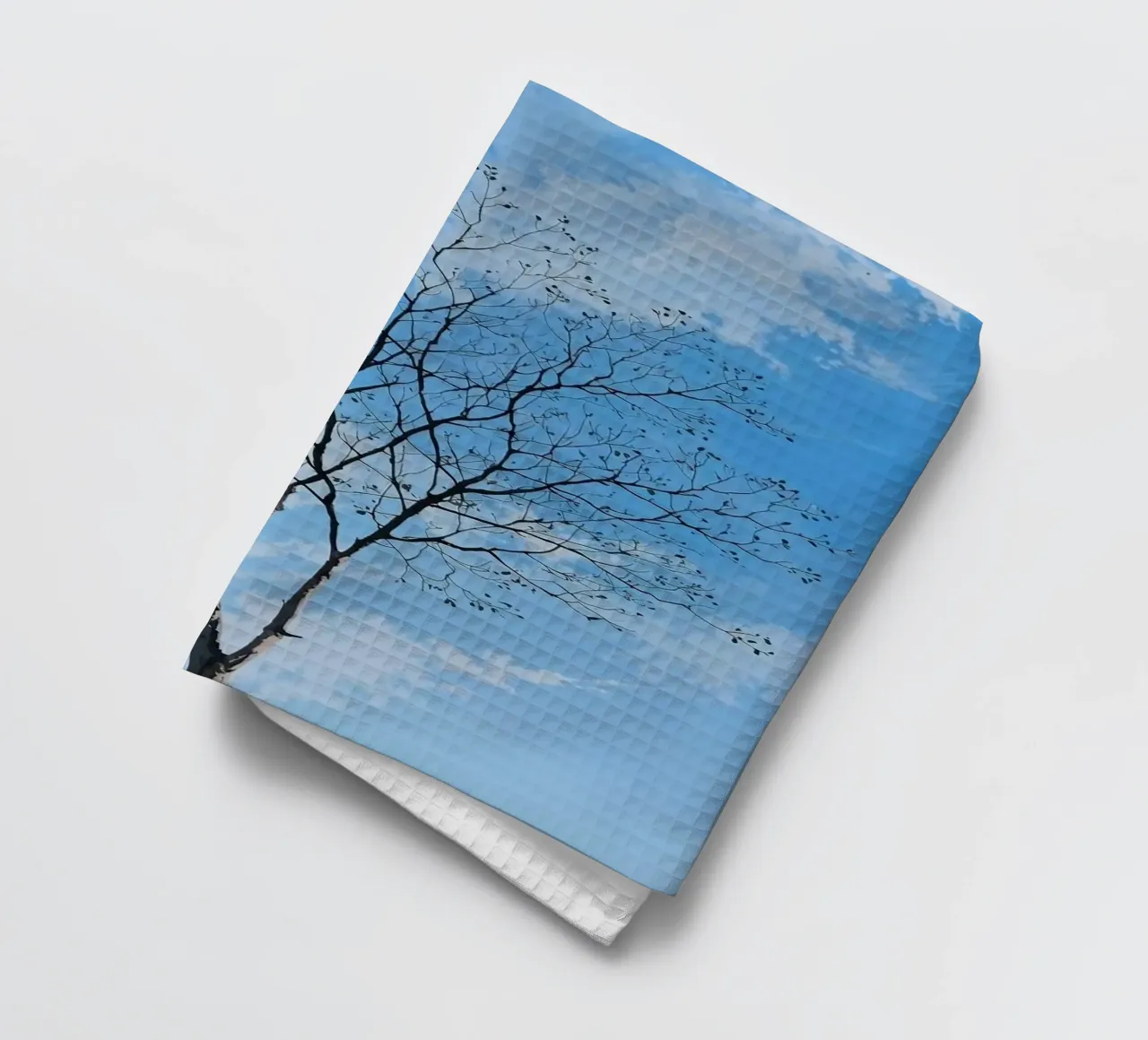 branch tree in cloud torchon de scoten