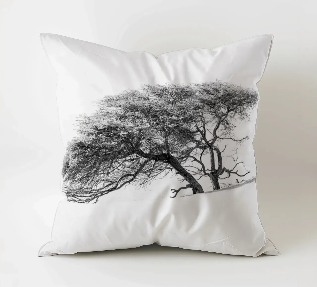 Lonely tree in the Sahara desert cuscino da photolovers