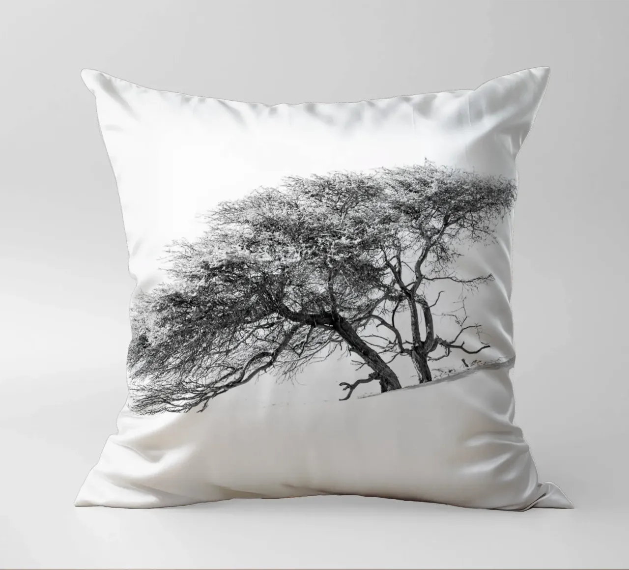 Lonely tree in the Sahara desert cuscino da photolovers