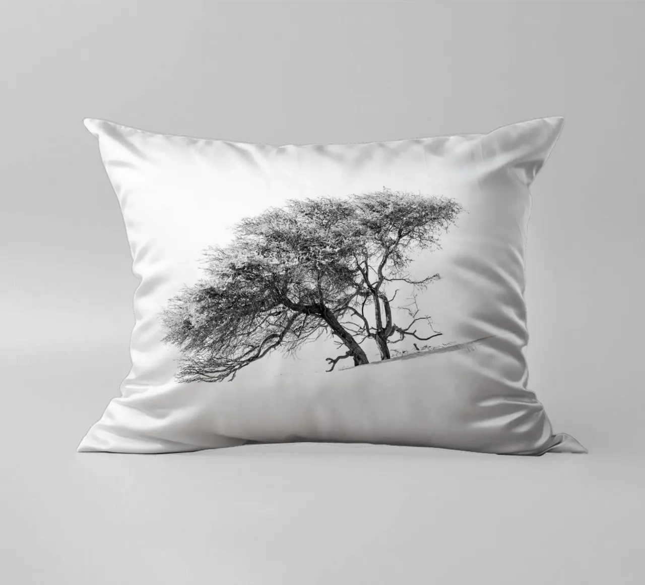 Lonely tree in the Sahara desert cuscino da photolovers