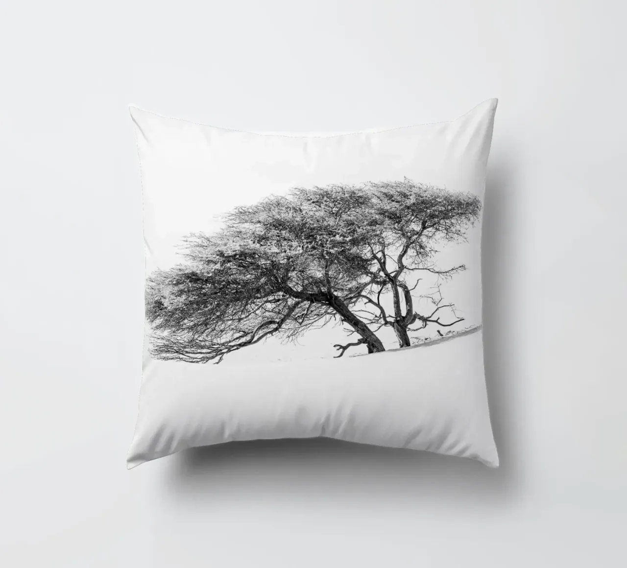 Lonely tree in the Sahara desert cuscino da photolovers