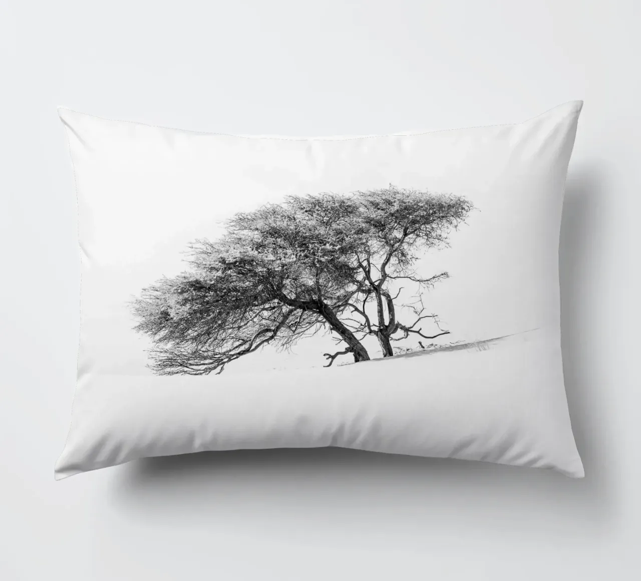 Lonely tree in the Sahara desert cuscino da photolovers