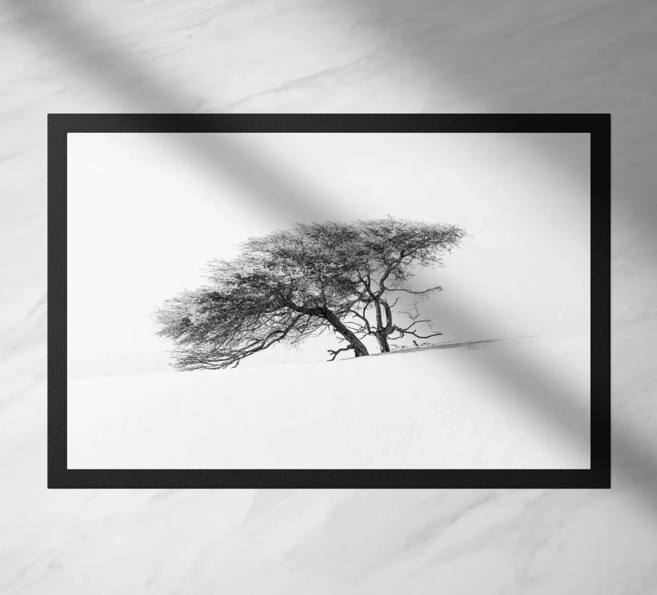 Lonely tree in the Sahara desert zerbino da photolovers
