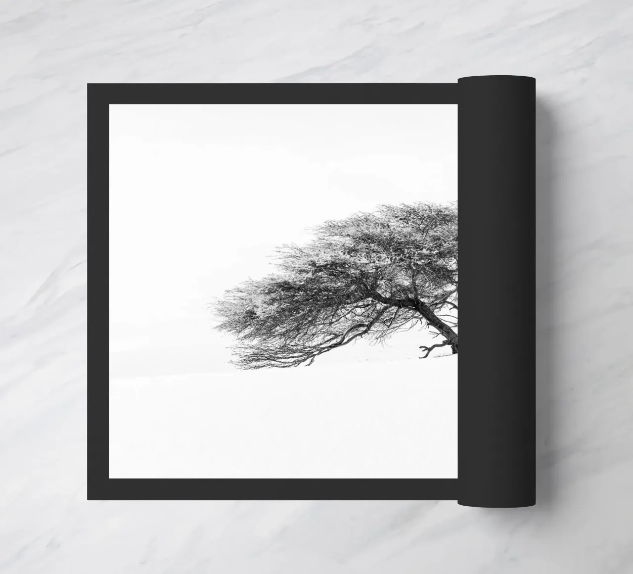 Lonely tree in the Sahara desert zerbino da photolovers