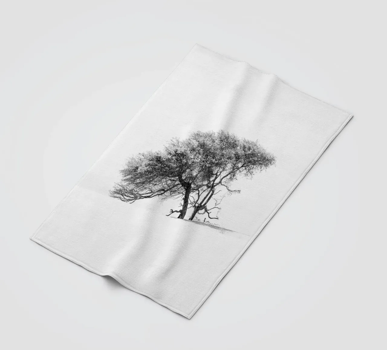 Lonely tree in the Sahara desert coperta in pile da photolovers