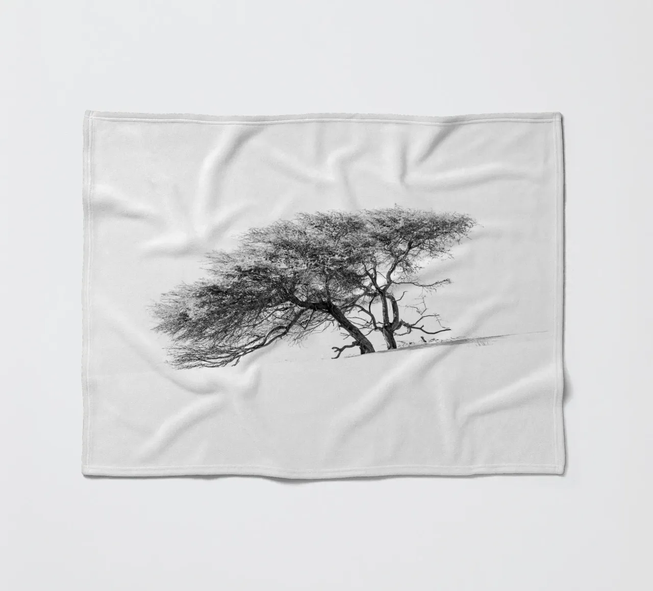 Lonely tree in the Sahara desert coperta in pile da photolovers