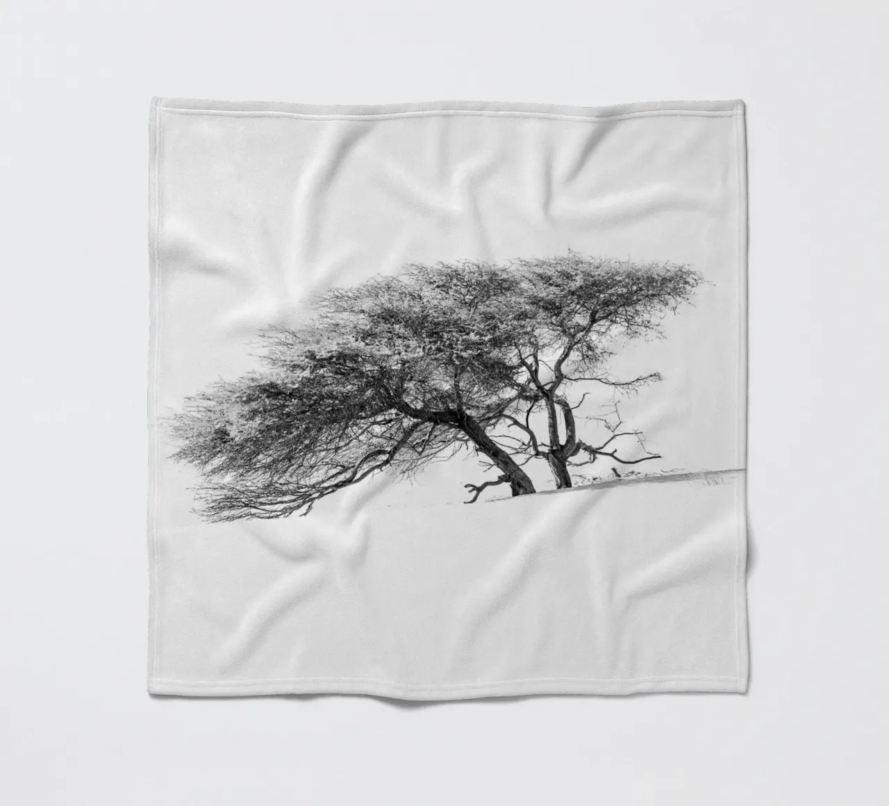 Lonely tree in the Sahara desert coperta in pile da photolovers