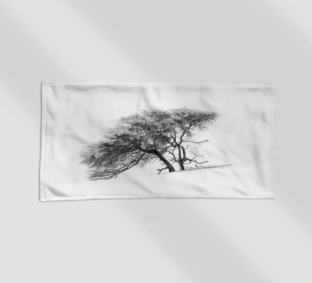 Lonely tree in the Sahara desert telo mare da photolovers