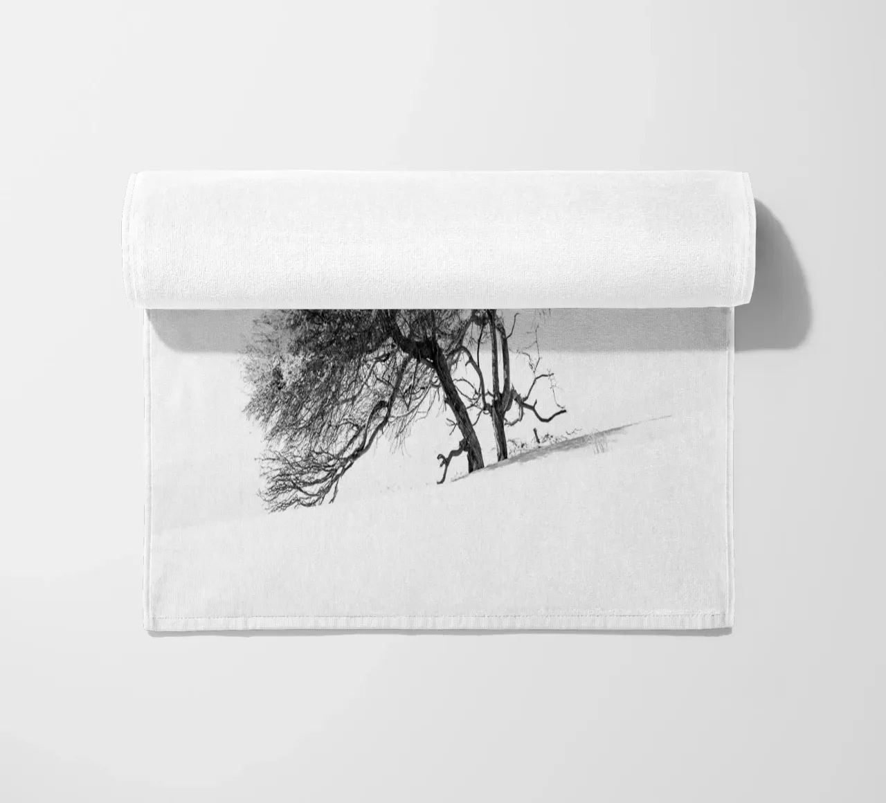 Lonely tree in the Sahara desert telo mare da photolovers