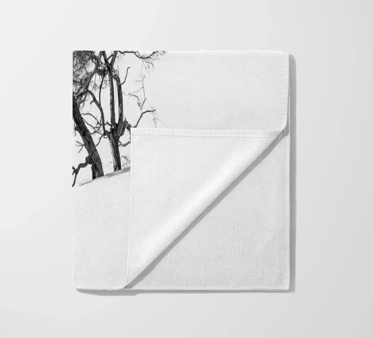 Lonely tree in the Sahara desert telo mare da photolovers