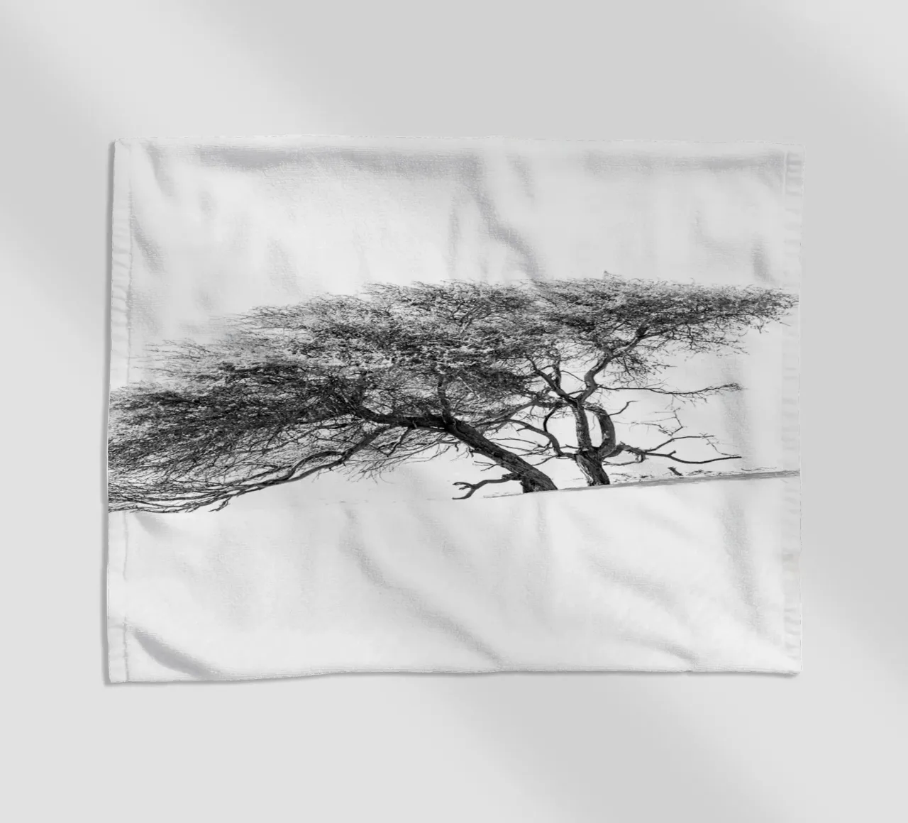 Lonely tree in the Sahara desert telo mare da photolovers