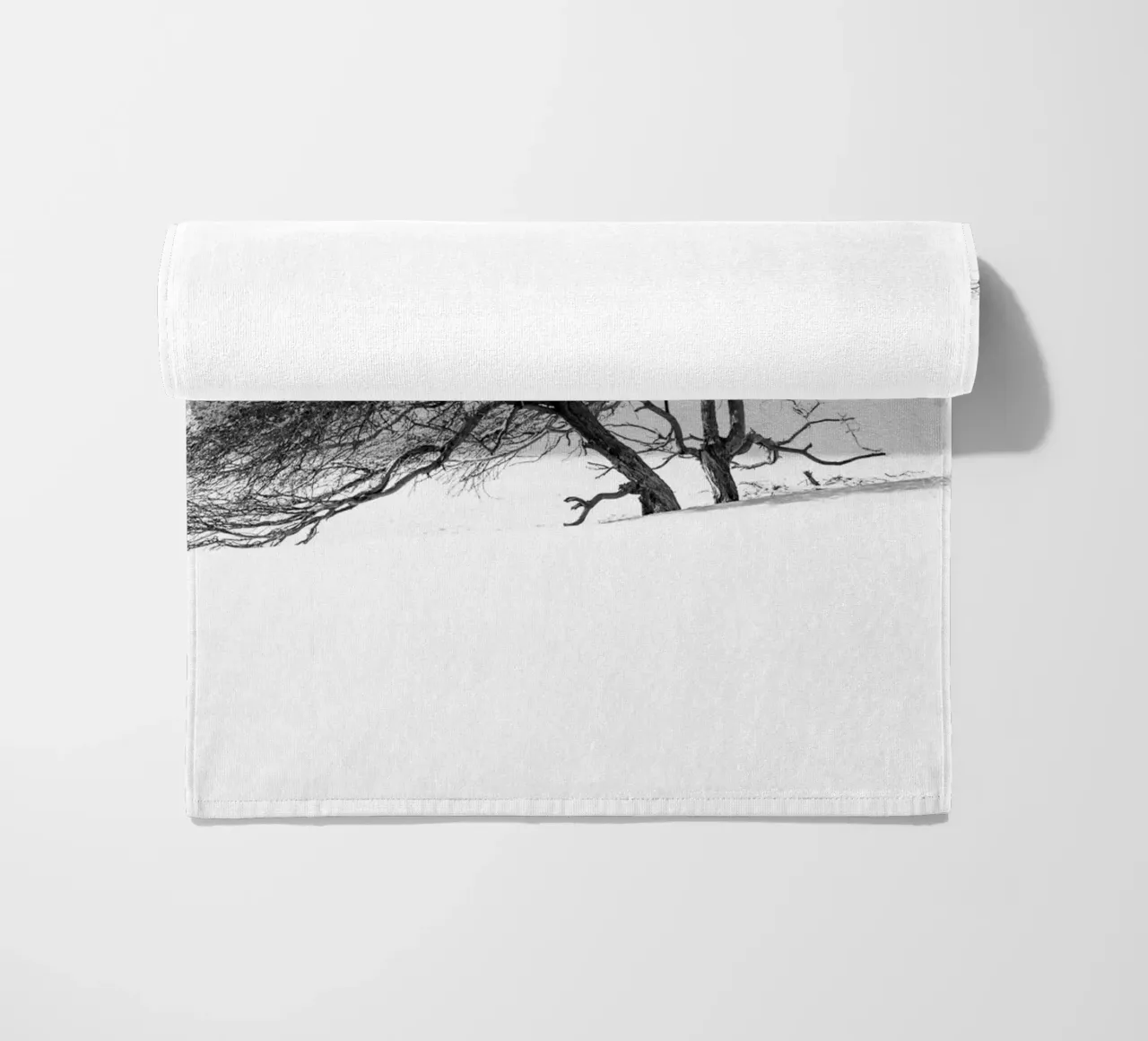 Lonely tree in the Sahara desert telo mare da photolovers