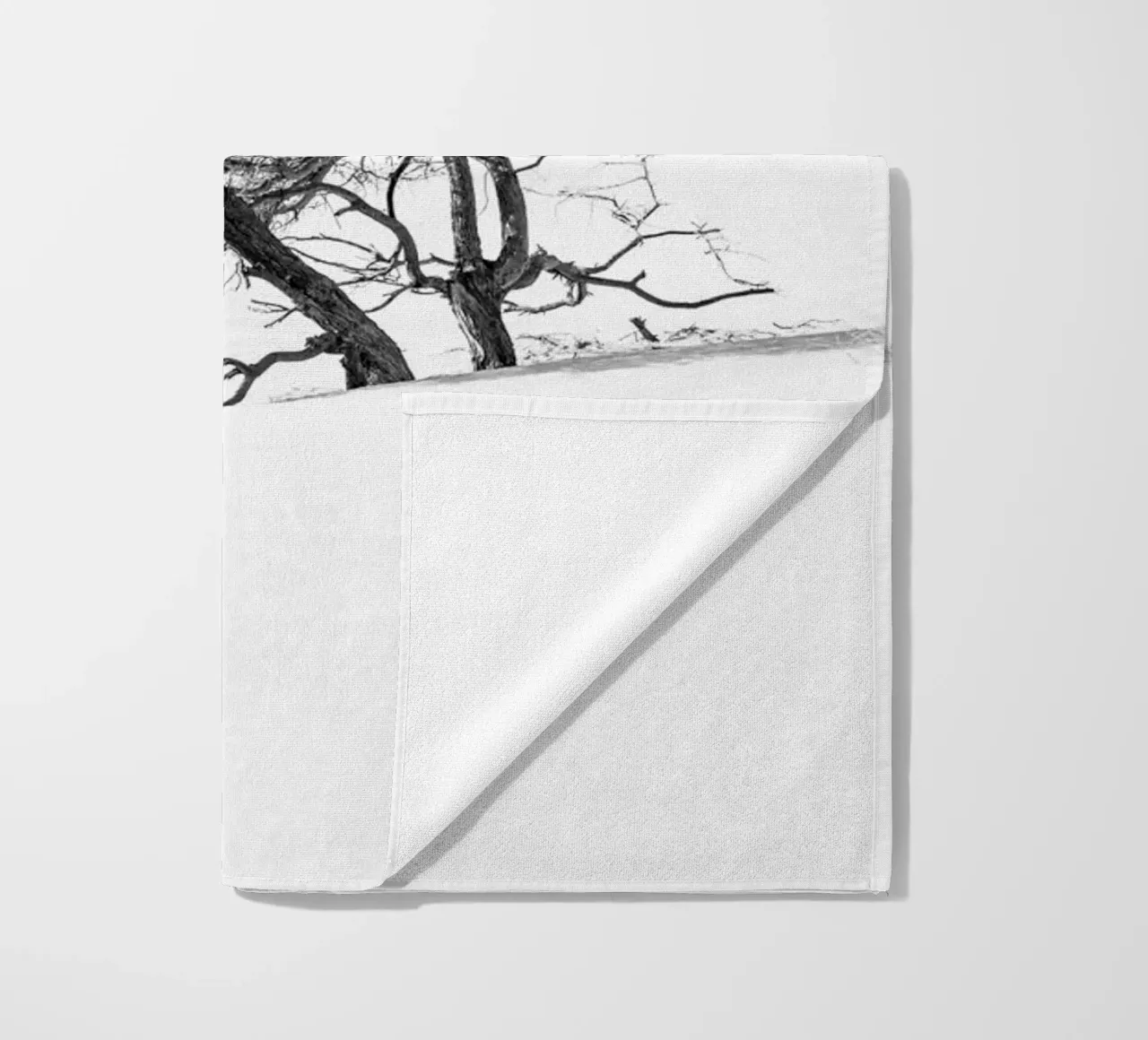 Lonely tree in the Sahara desert telo mare da photolovers