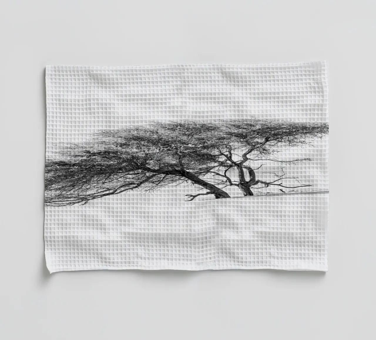 Lonely tree in the Sahara desert canovaccio da cucina da photolovers