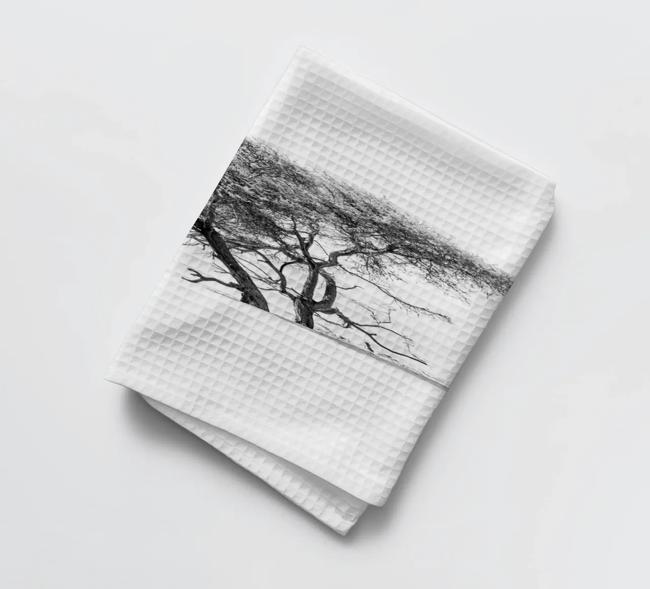 Lonely tree in the Sahara desert torchon de photolovers