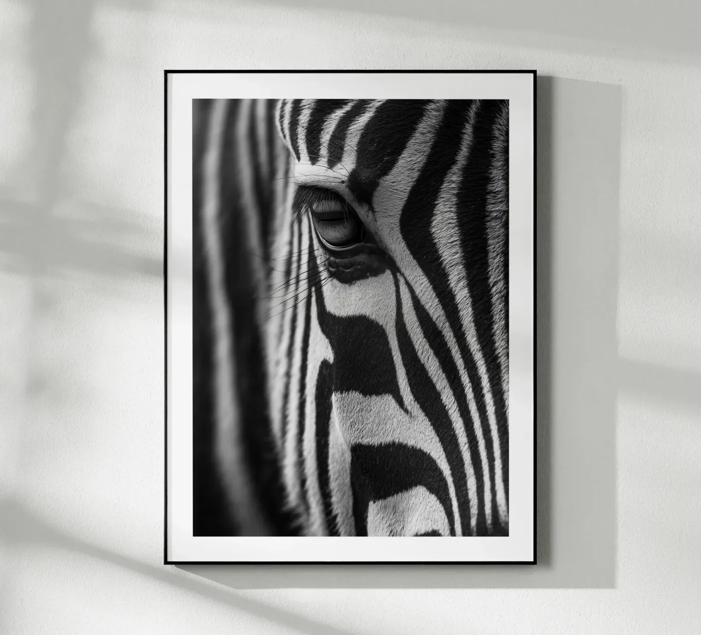 Occhi di zebra plexiglass da Monochrome