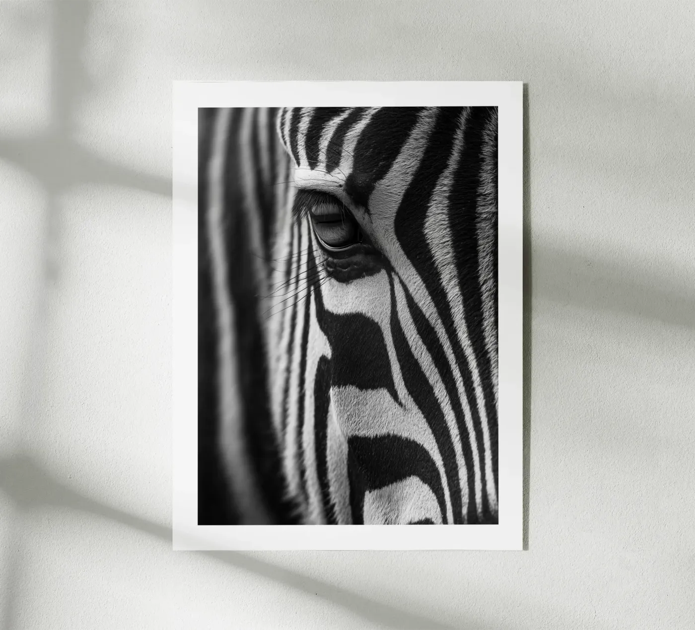 Occhi di zebra plexiglass da Monochrome