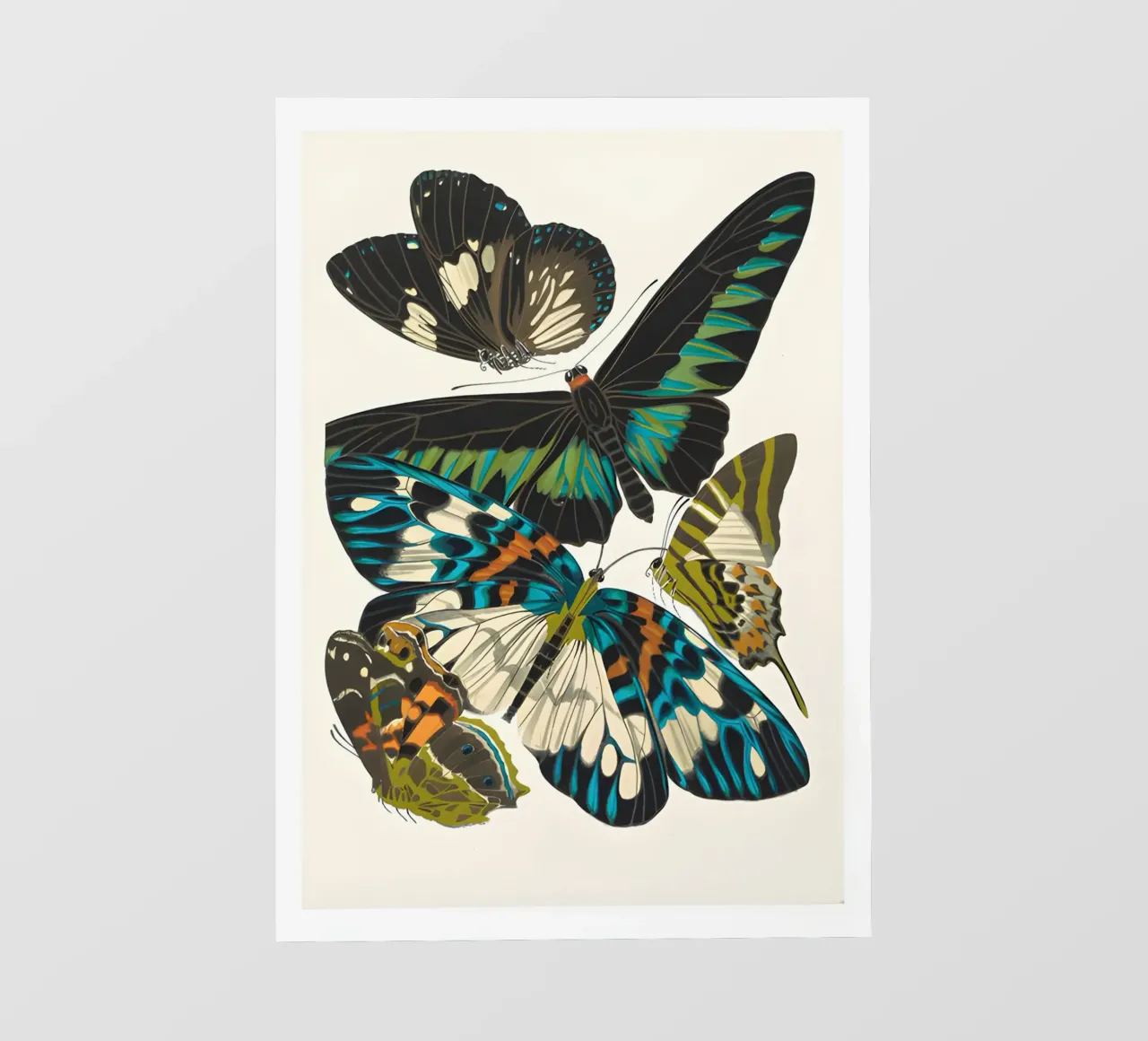 Vlinders II fotobehang van Rob Lewis